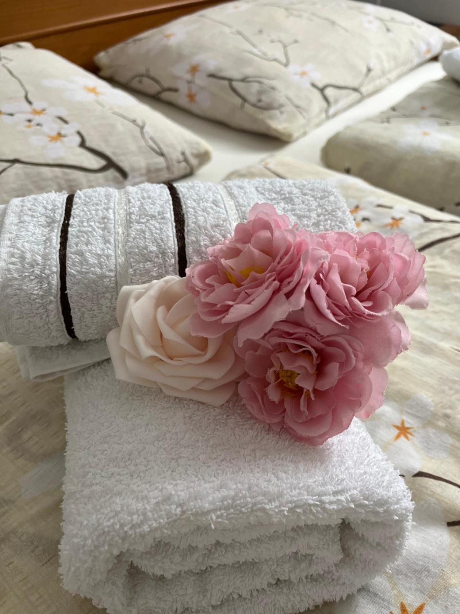 פוליאנאק Guest House Stefanija מראה חיצוני תמונה