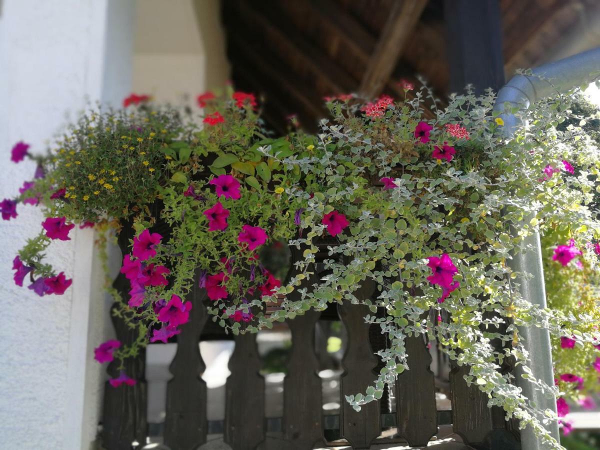 פוליאנאק Guest House Stefanija מראה חיצוני תמונה
